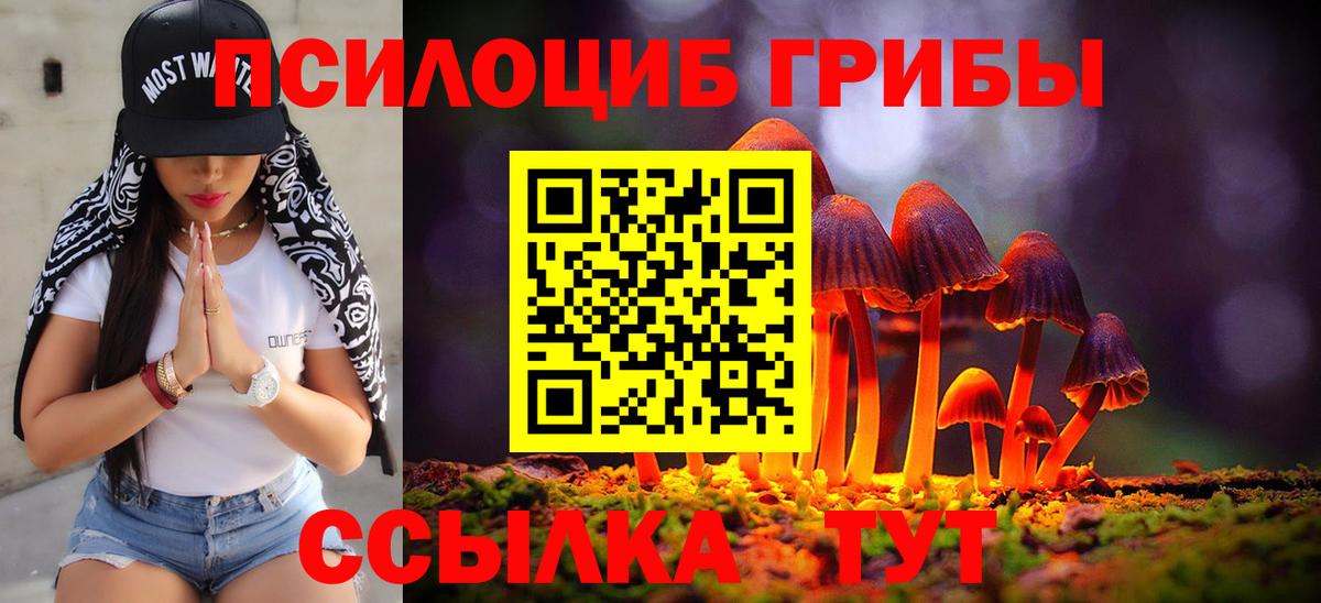 Псилоцибиновые грибы ЛСД Саянск