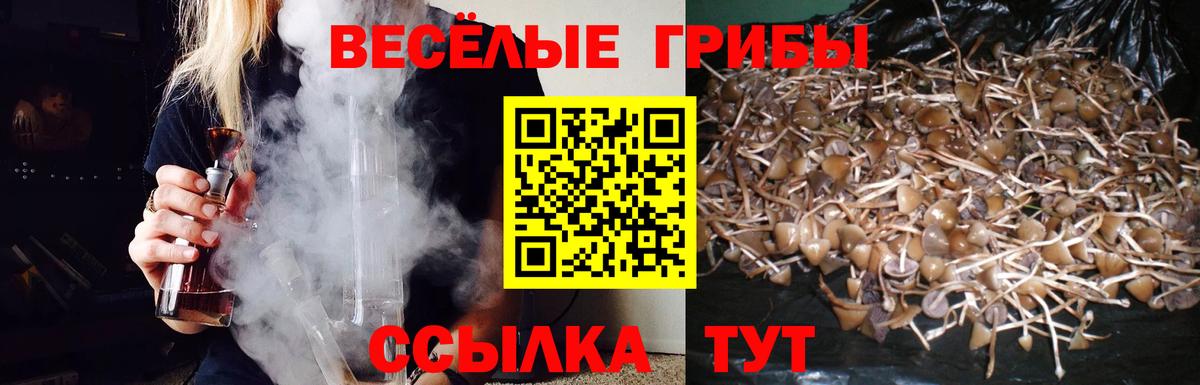 цена наркотик  Псилоцибиновые грибы мухоморы  Вход с VPN  Галлюциногенные грибы MAGIC MUSHROOMS  Саянск 
